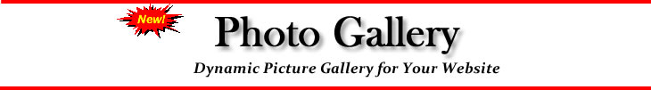 online photo gallery software